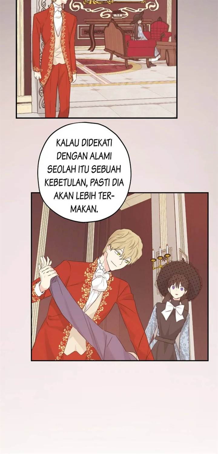 Panel 11