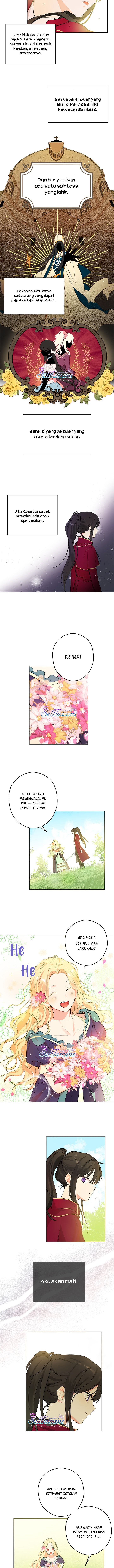 Panel 7