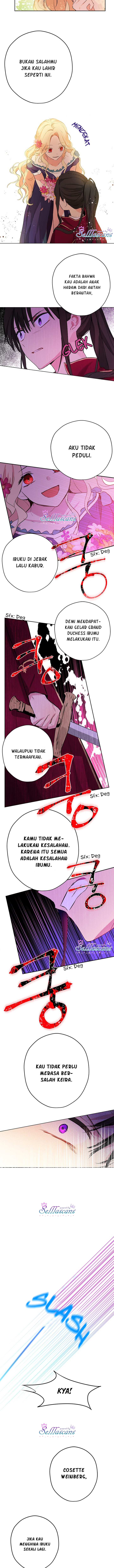 Panel 9