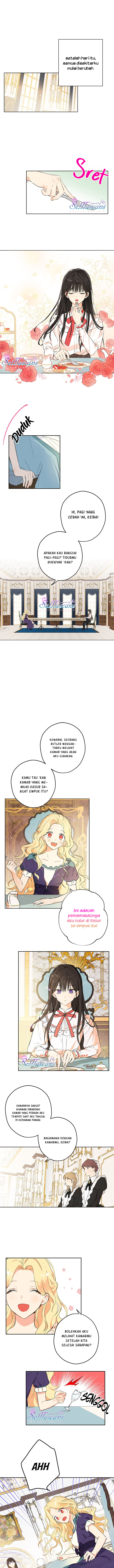 Panel 4