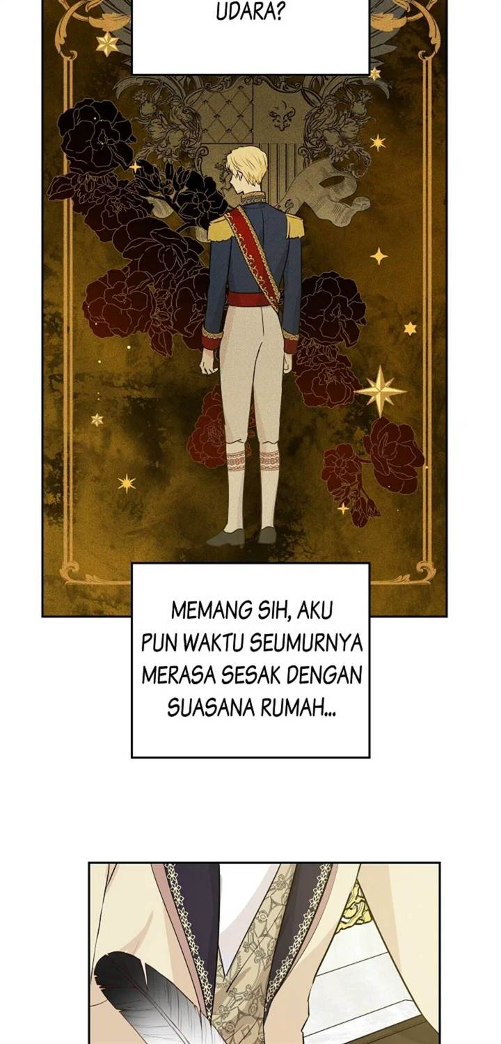 Panel 5