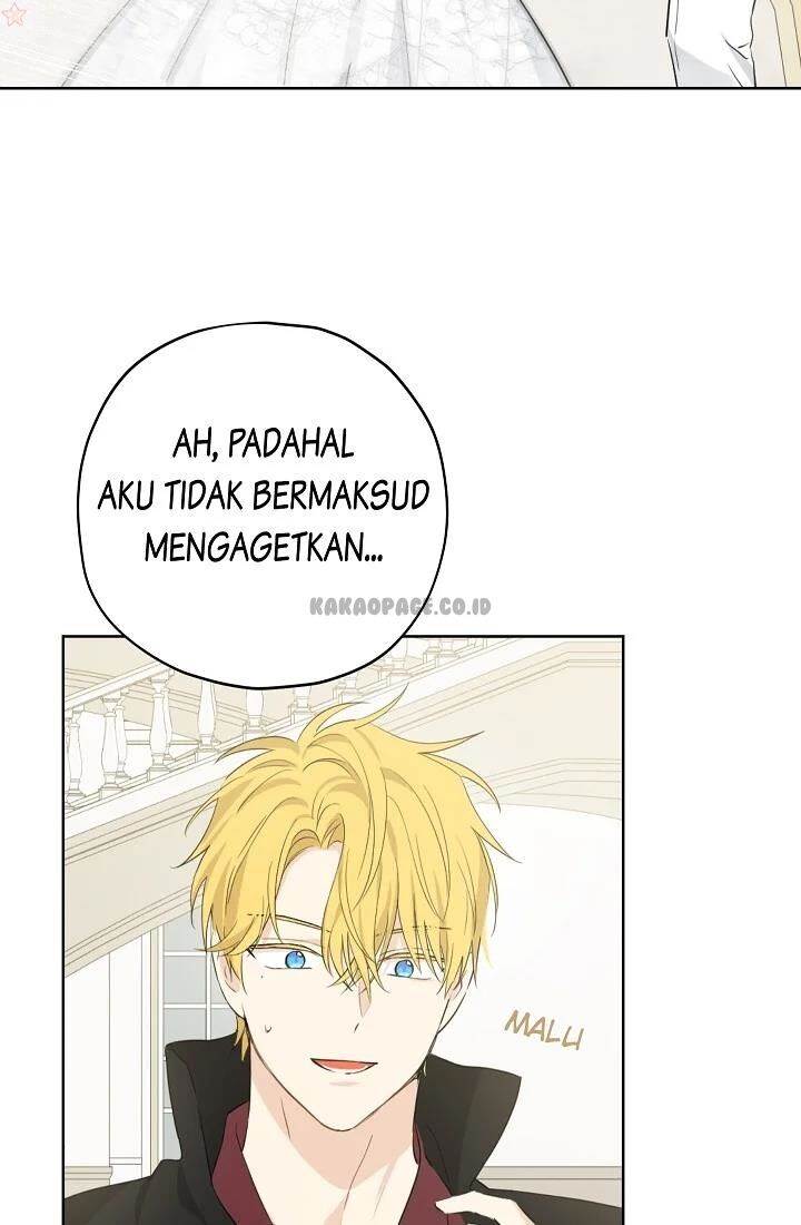 Panel 11