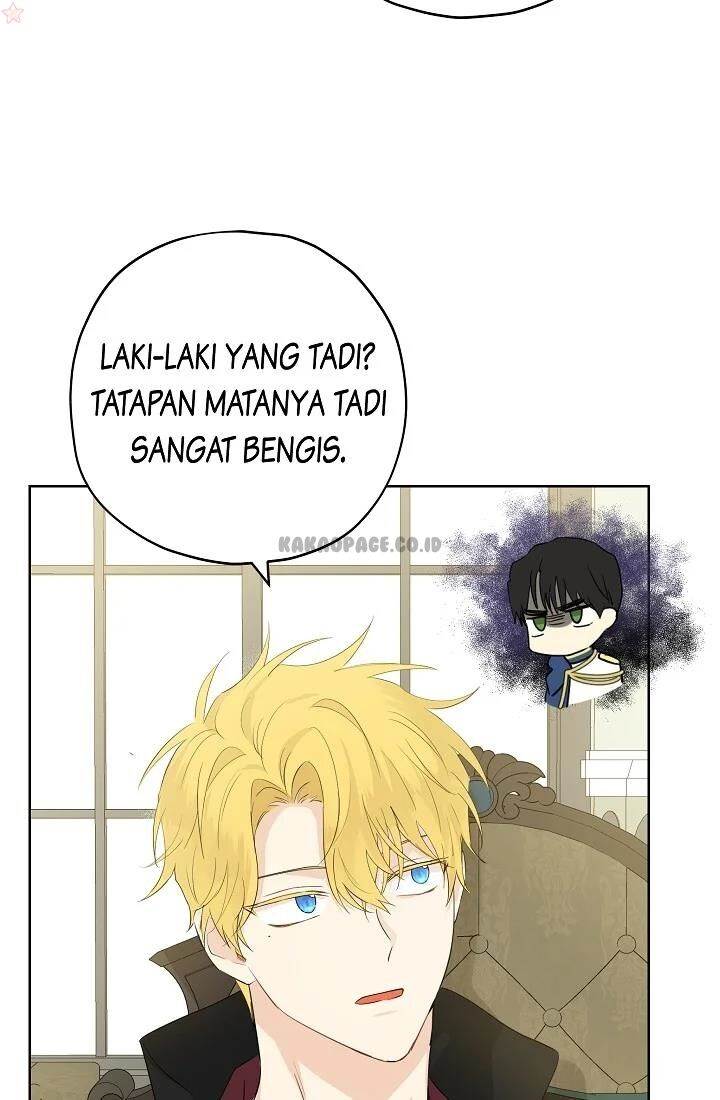 Panel 11