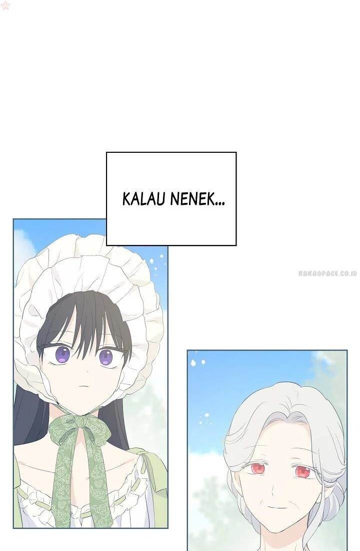 Panel 12