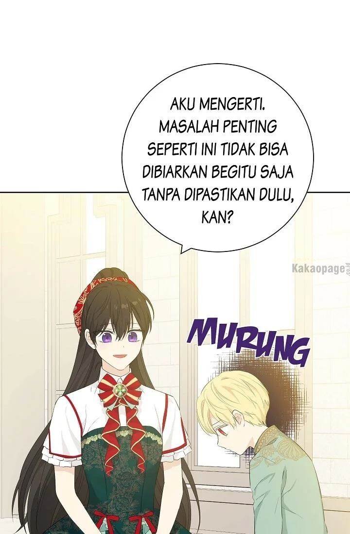 Panel 11