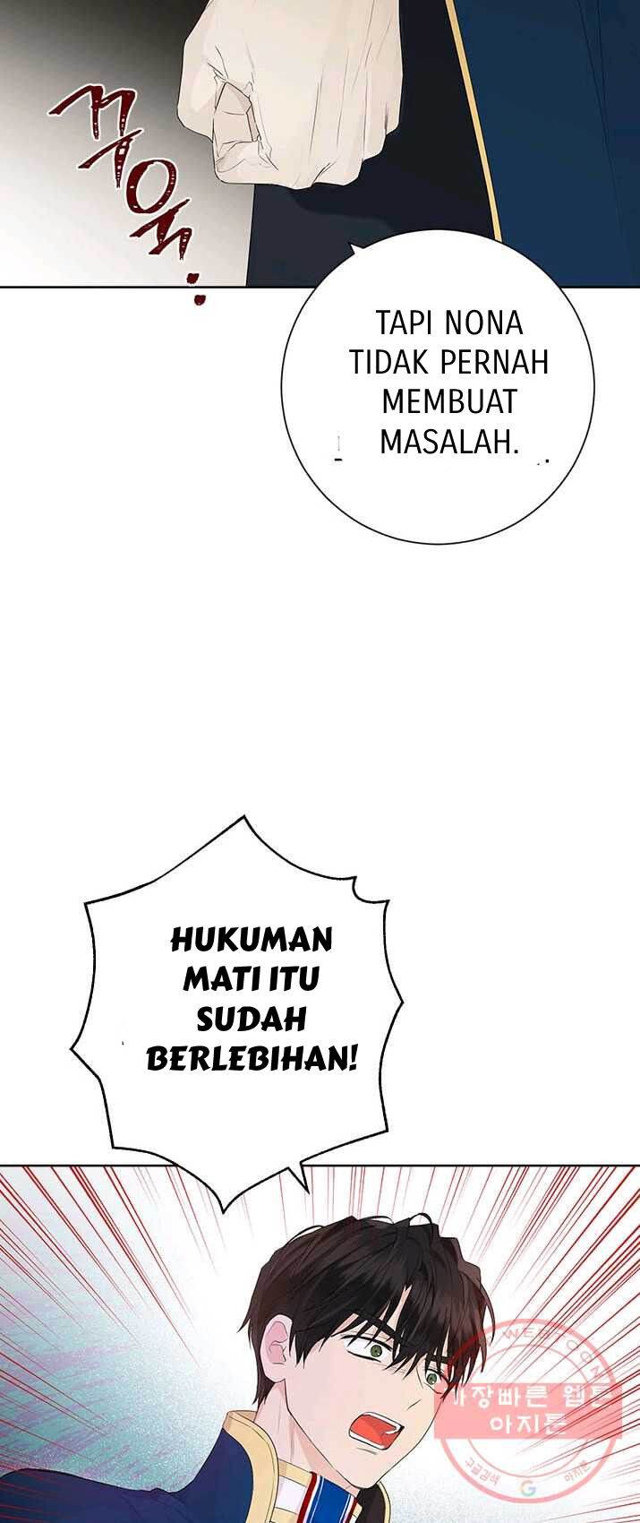Panel 7