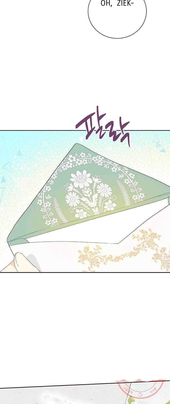 Panel 5