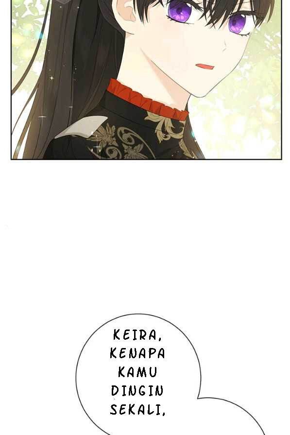Panel 7