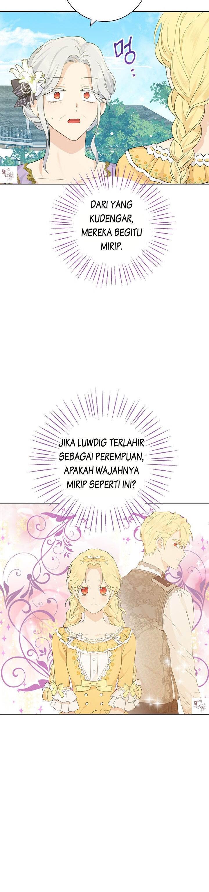 Panel 6