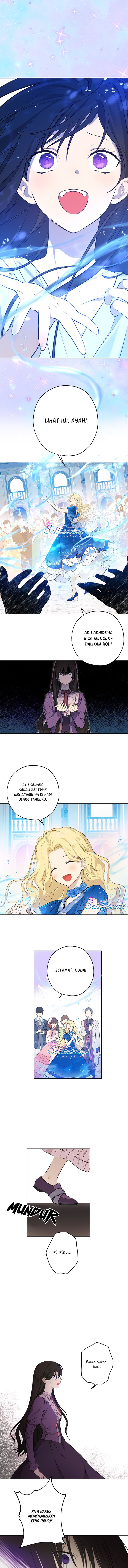 Panel 7