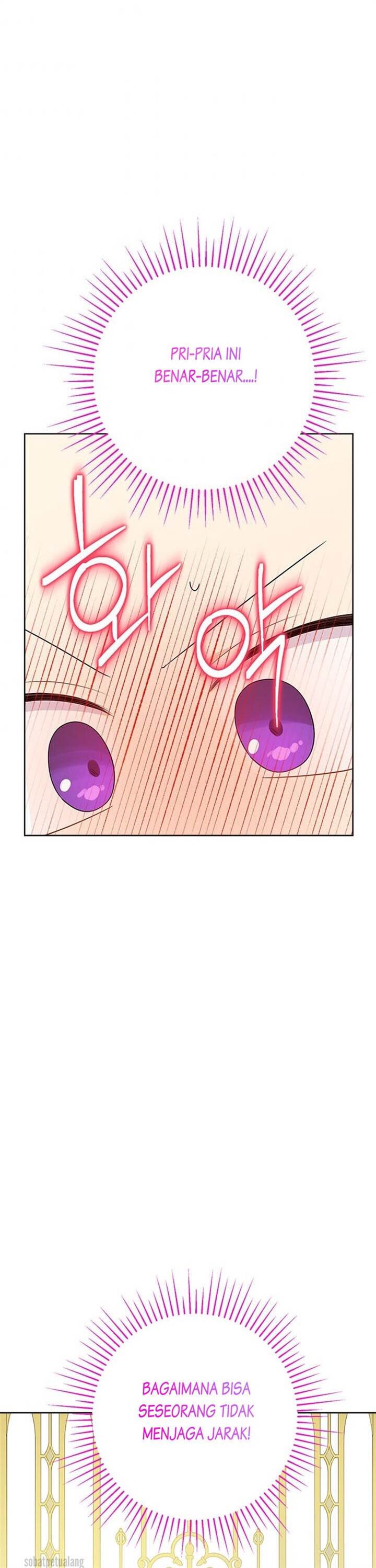 Panel 19