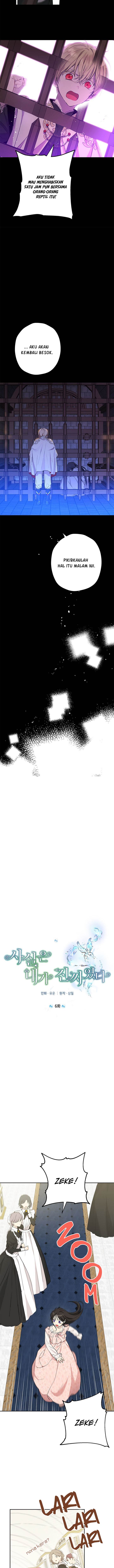 Panel 5