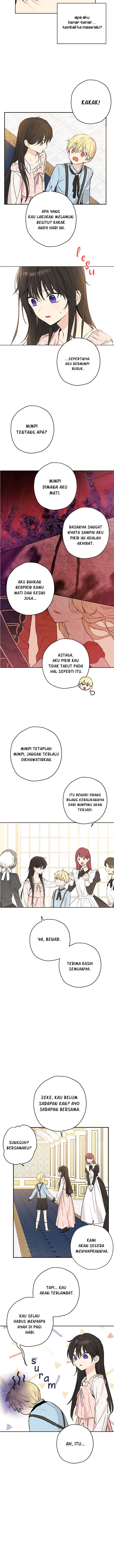 Panel 8