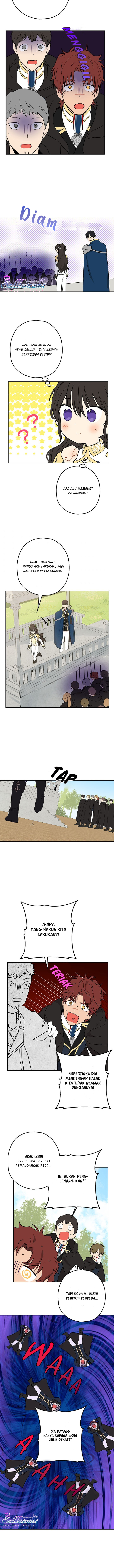 Panel 5