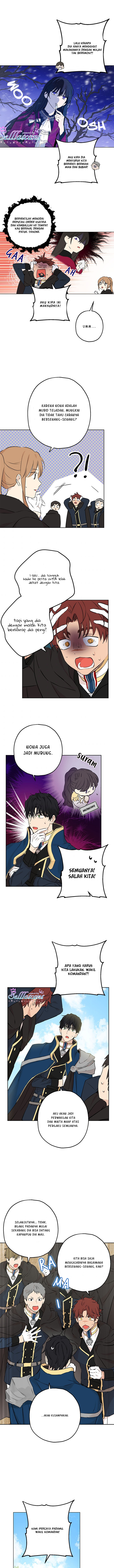 Panel 6