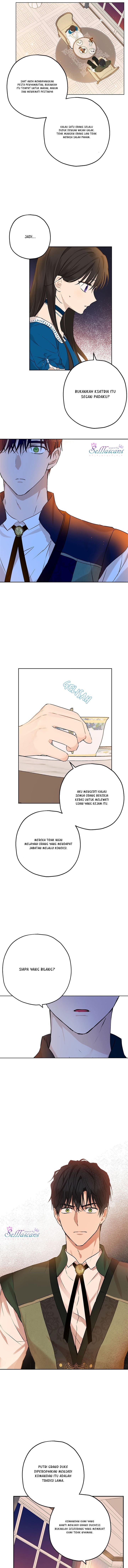 Panel 7