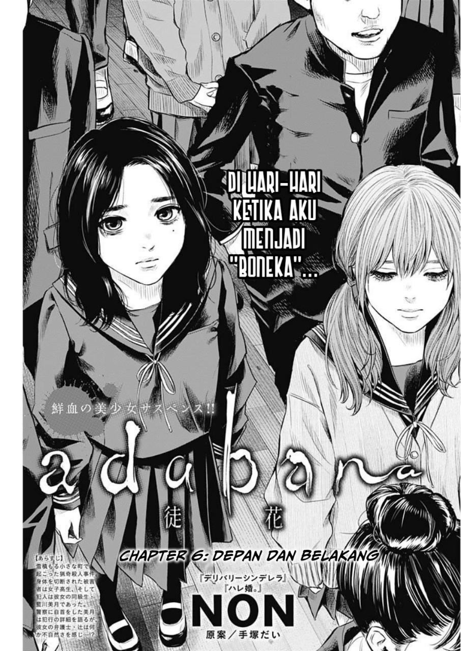 Panel 5