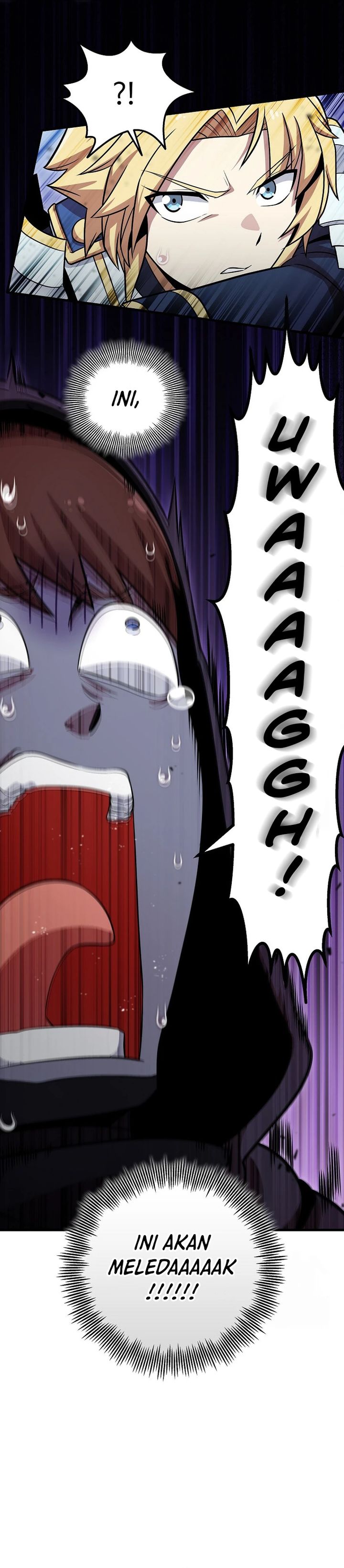 Panel 27