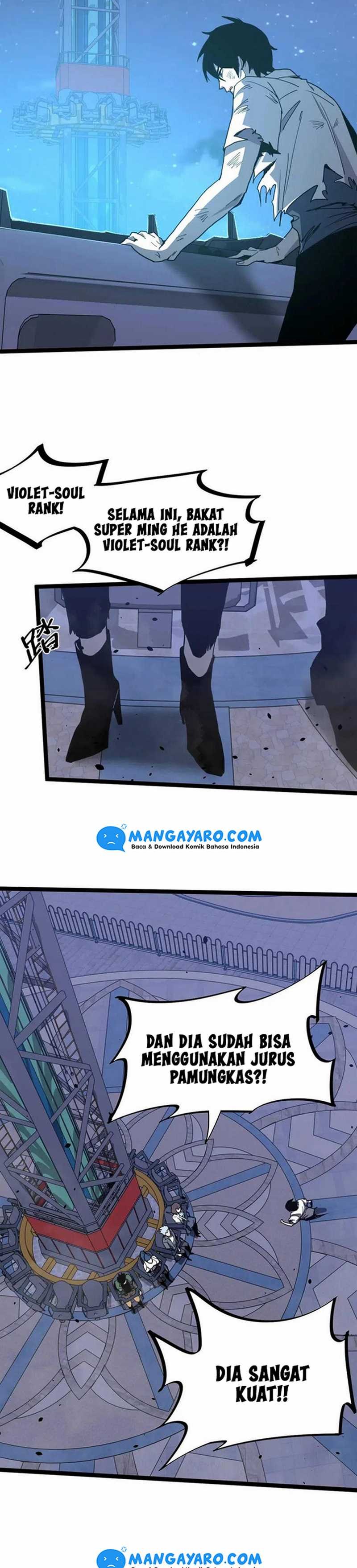 Panel 5