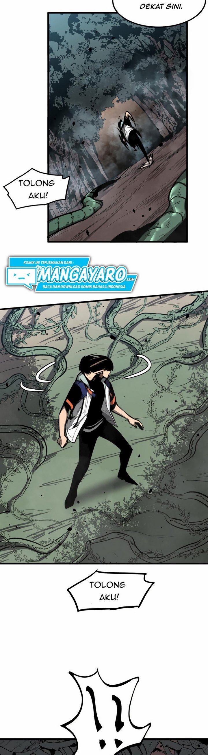 Panel 15