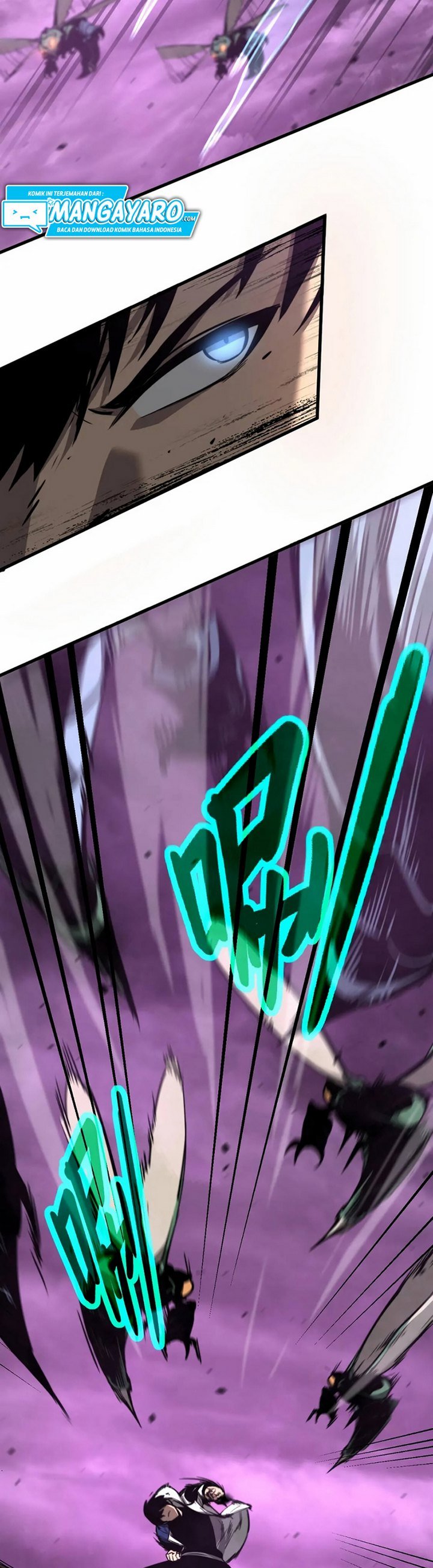 Panel 11