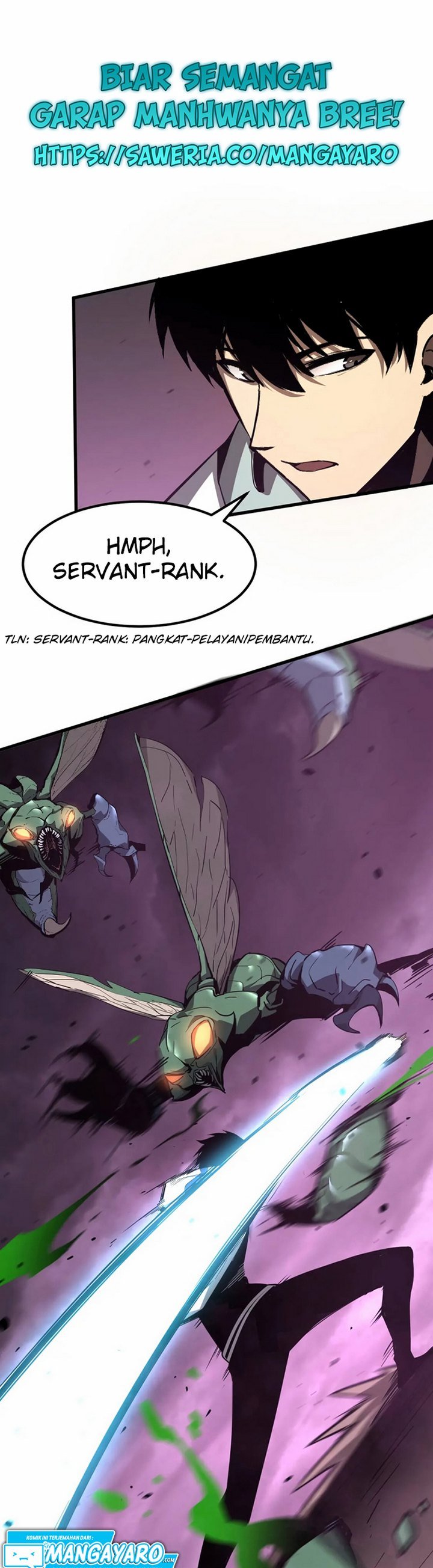 Panel 5