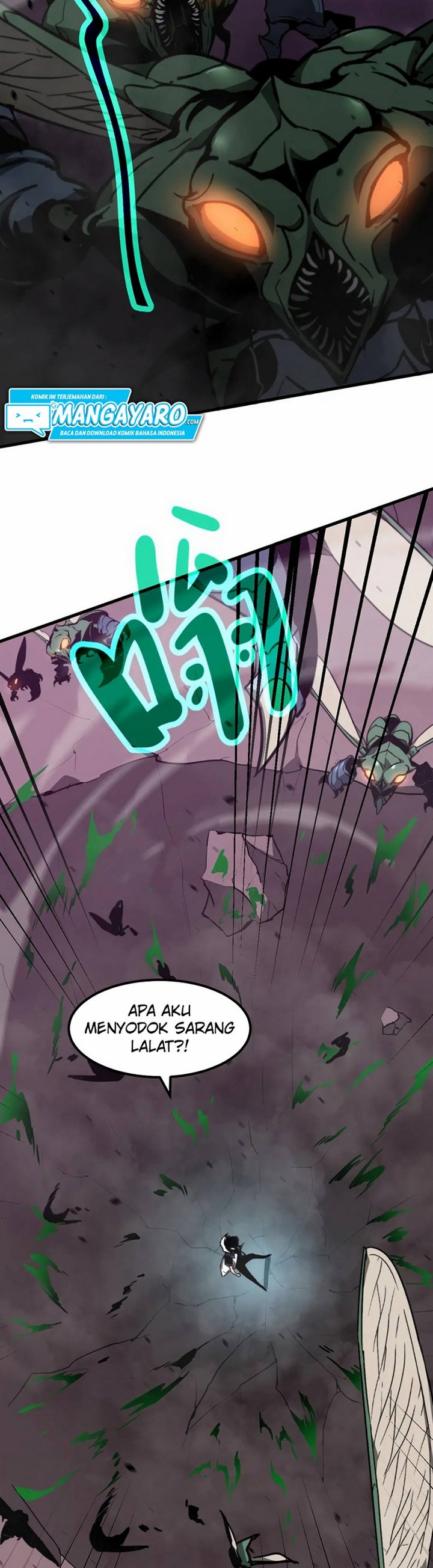 Panel 16