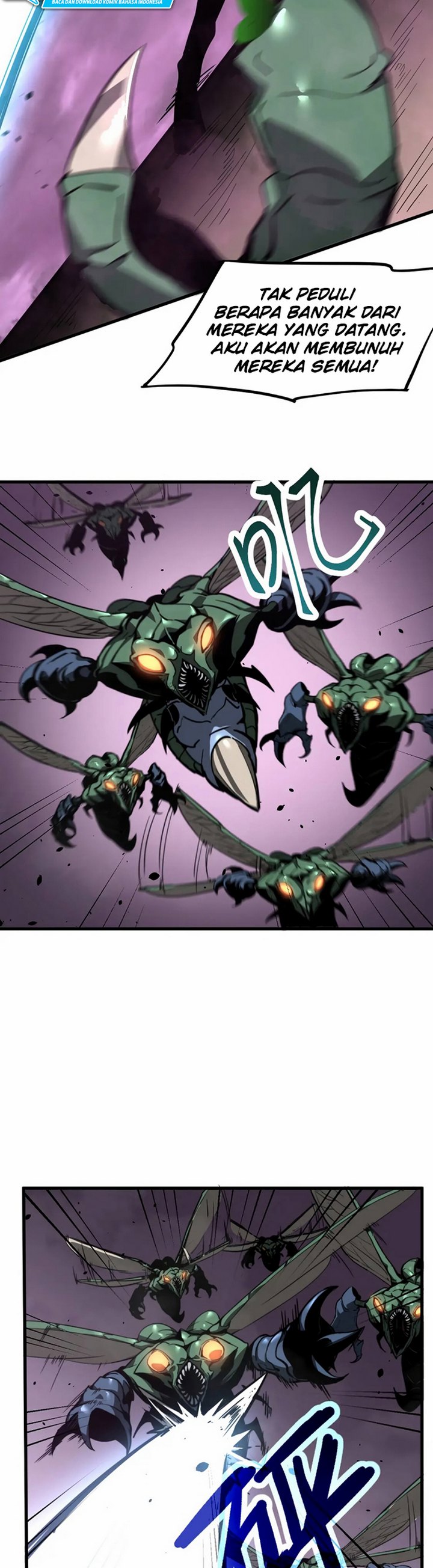 Panel 6