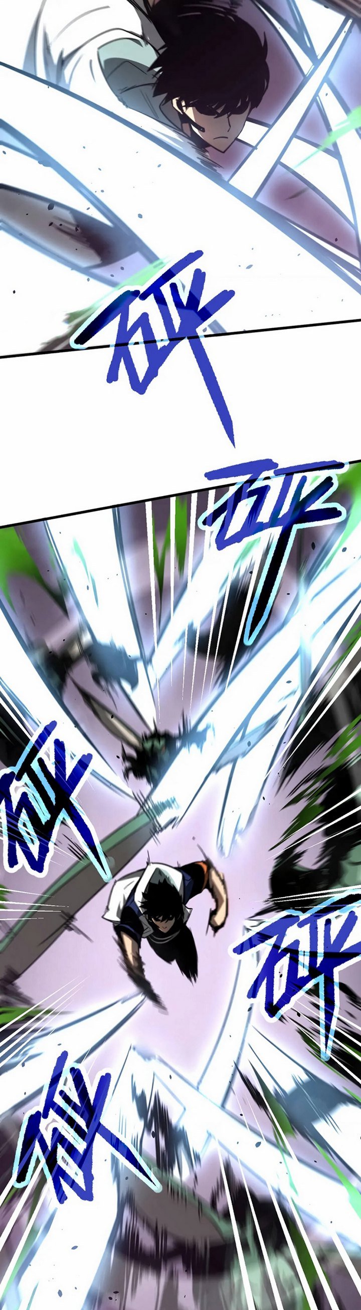 Panel 8