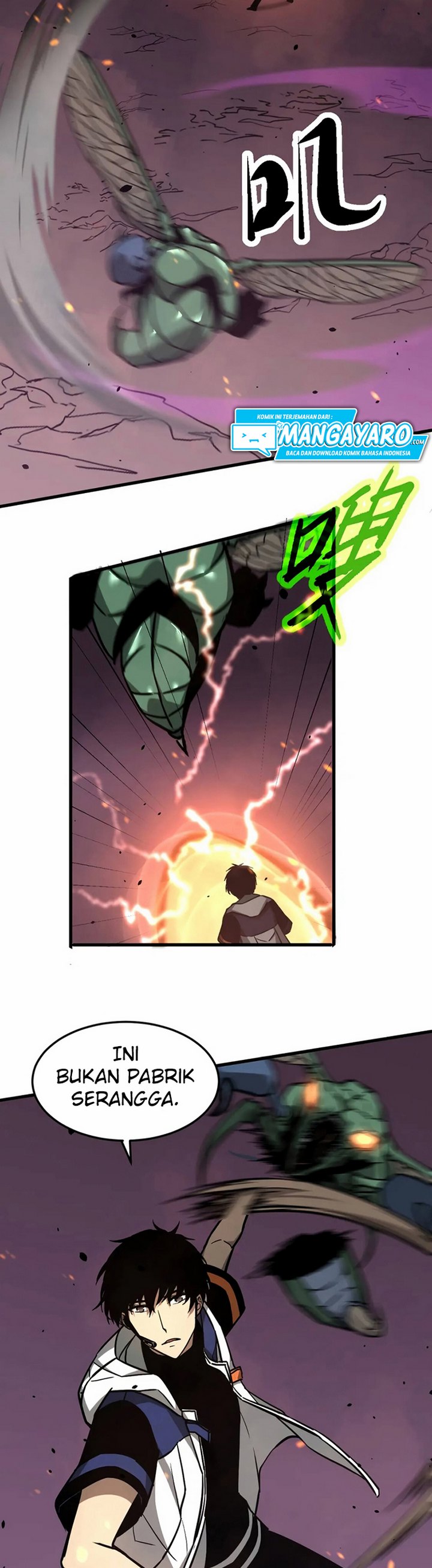 Panel 19