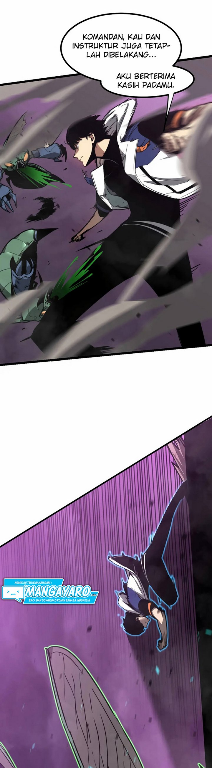 Panel 5