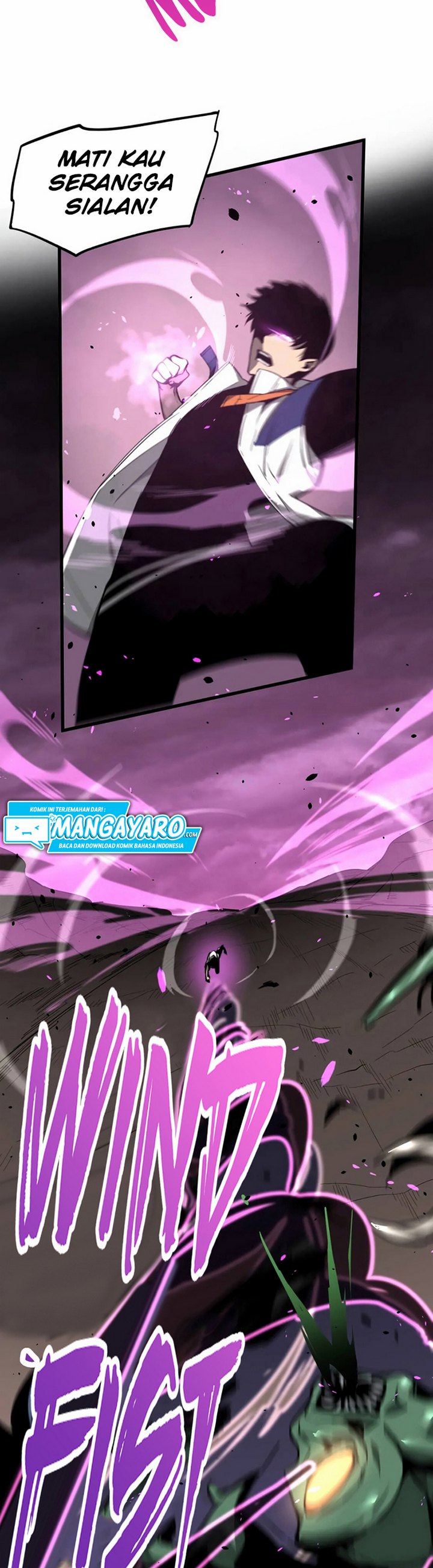 Panel 12