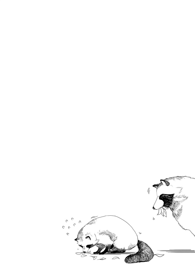 Panel 13