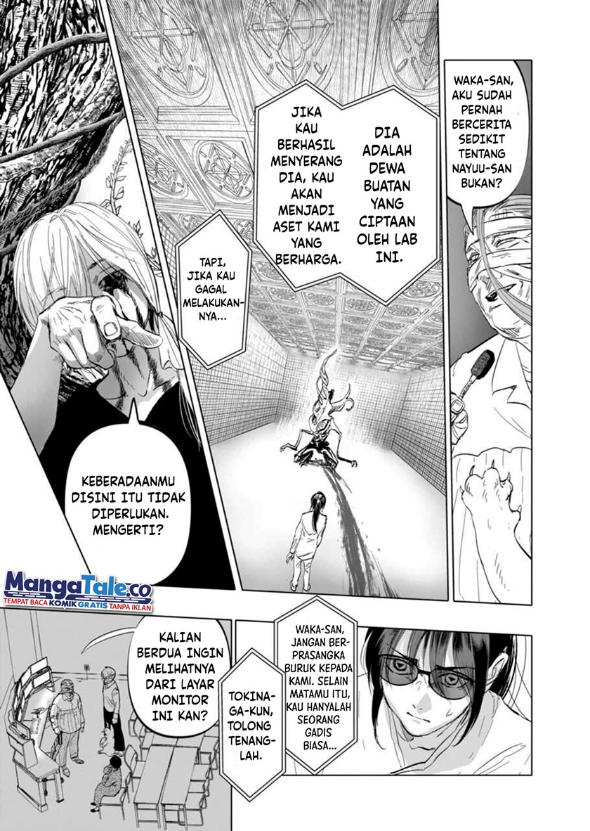Panel 7