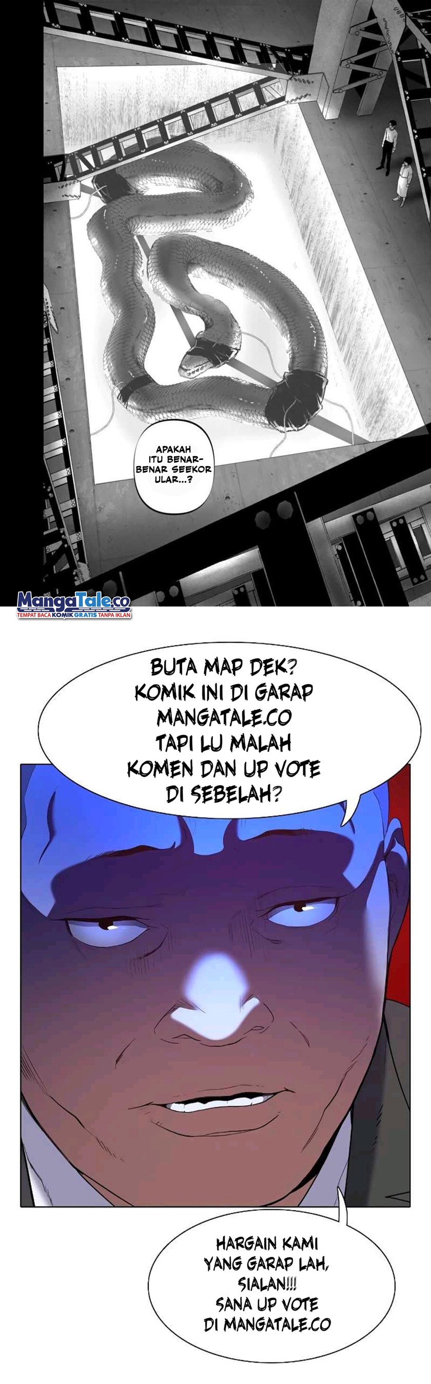 Panel 18