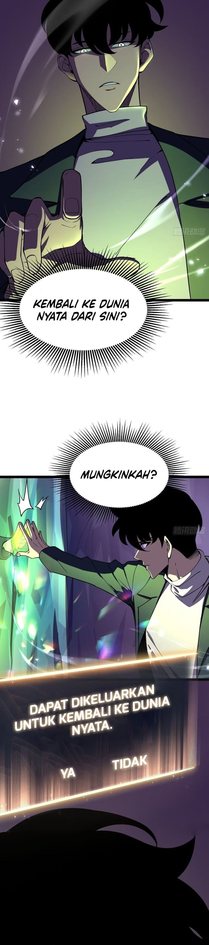 Panel 5