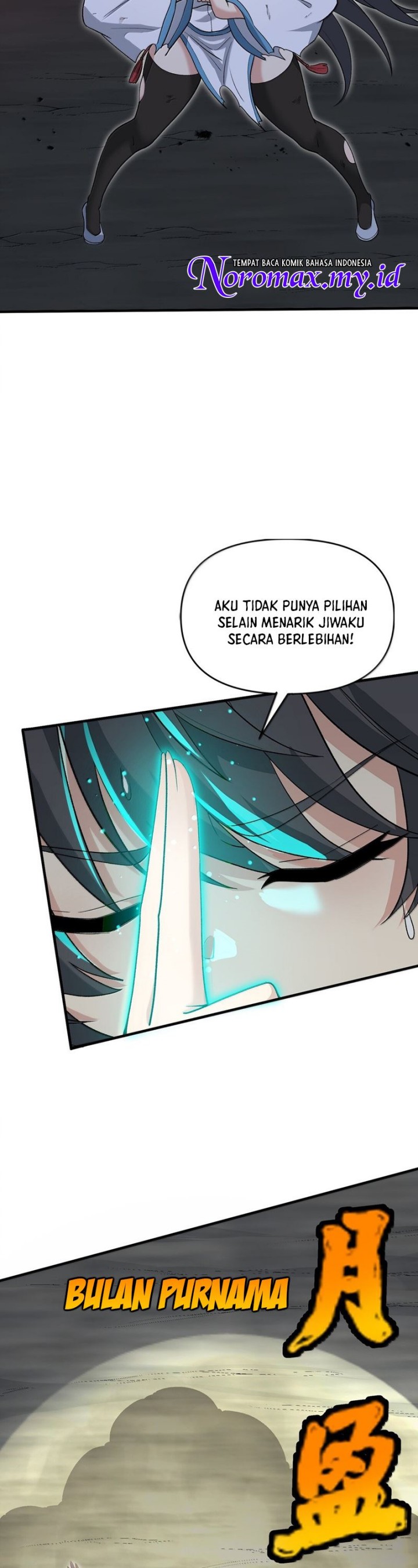 Panel 5