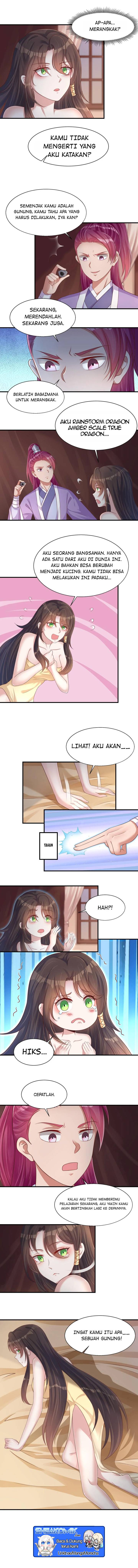 Panel 6