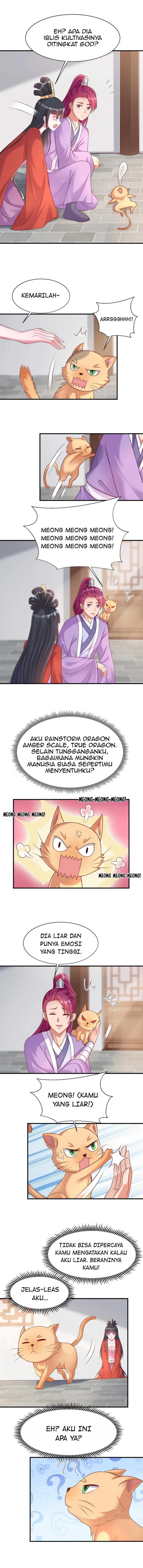 Panel 6