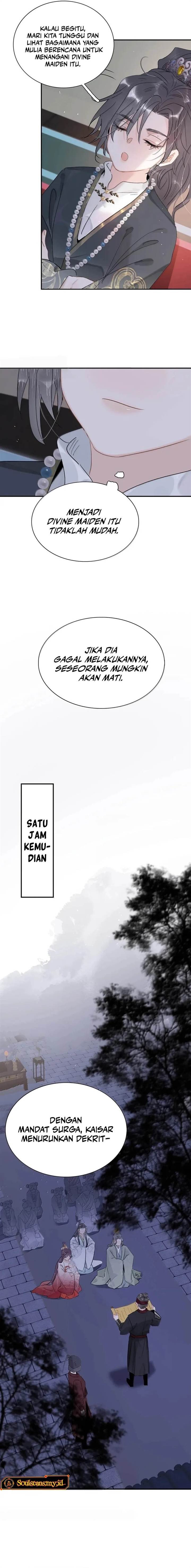 Panel 6