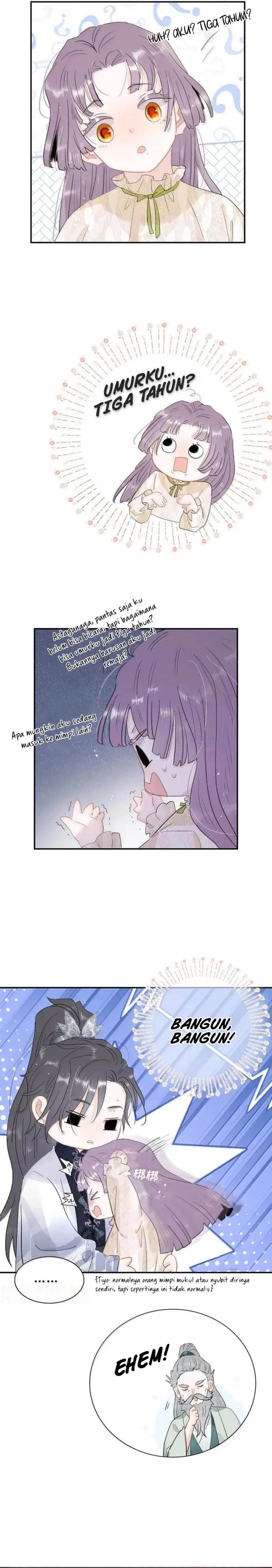 Panel 7
