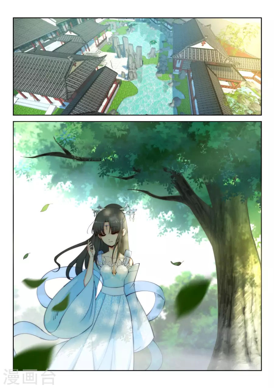Panel 6