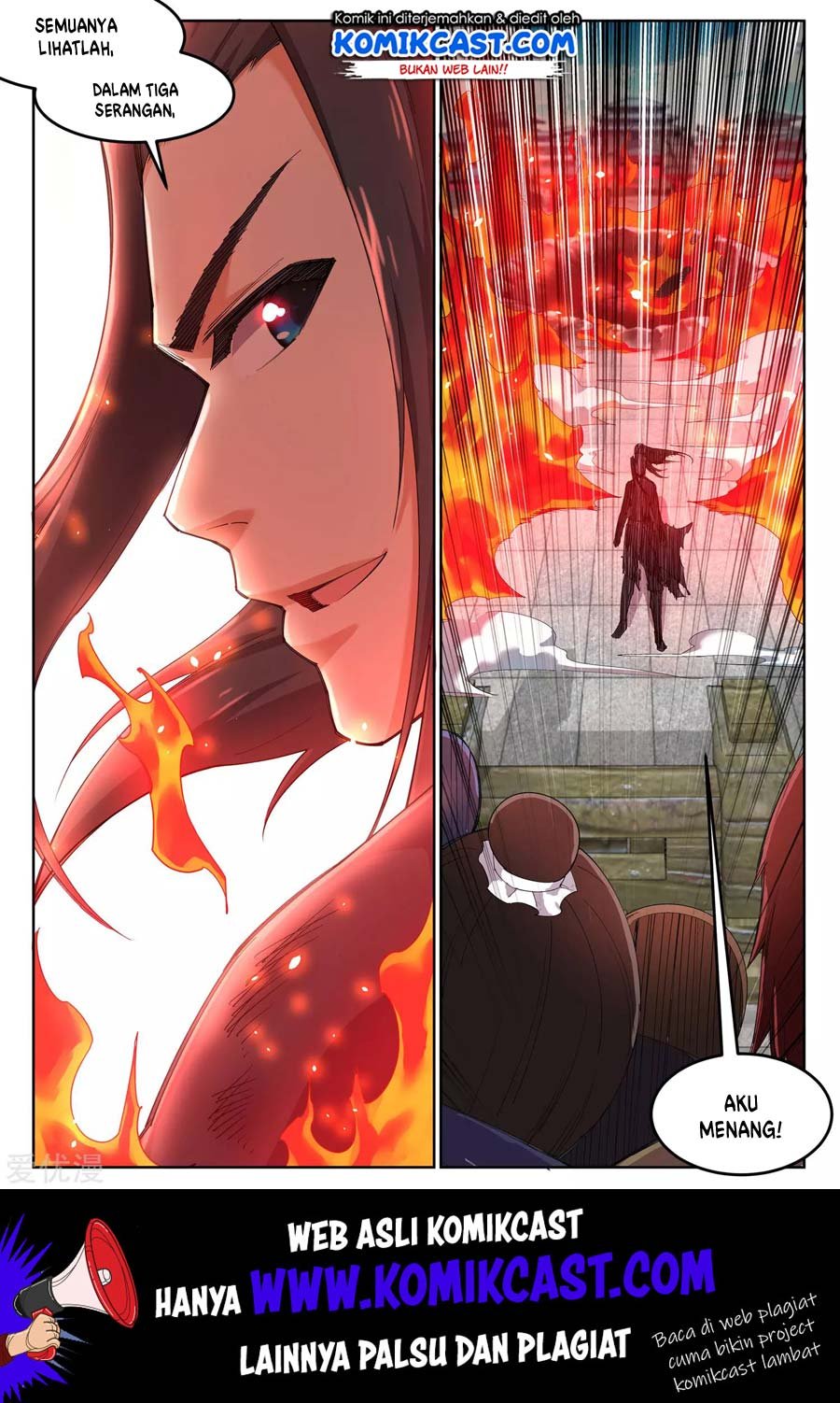 Panel 11
