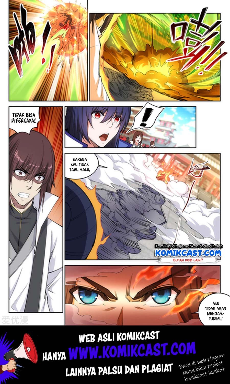 Panel 11