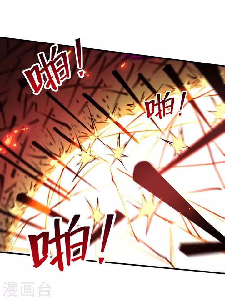 Panel 6
