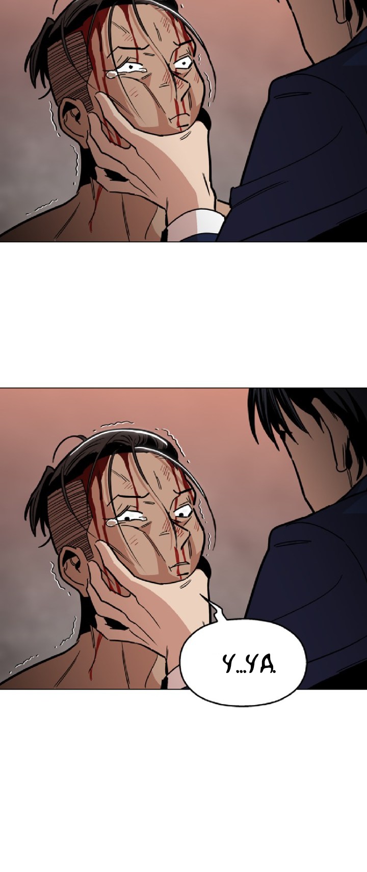 Panel 6