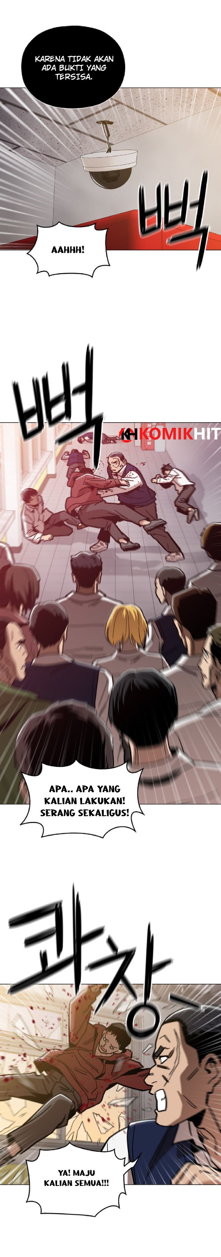 Panel 19