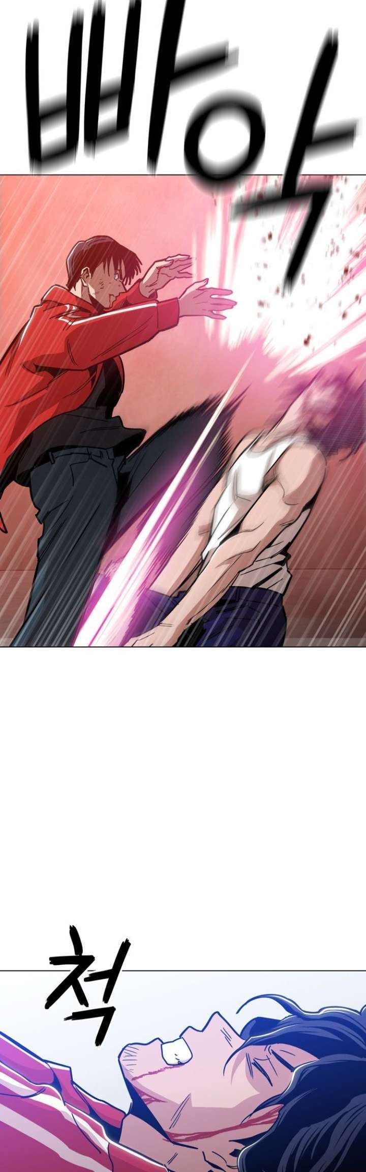 Panel 13