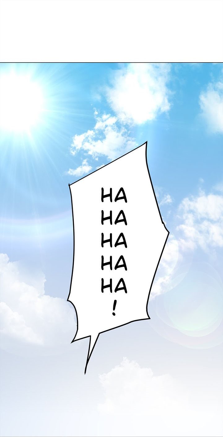 Panel 7
