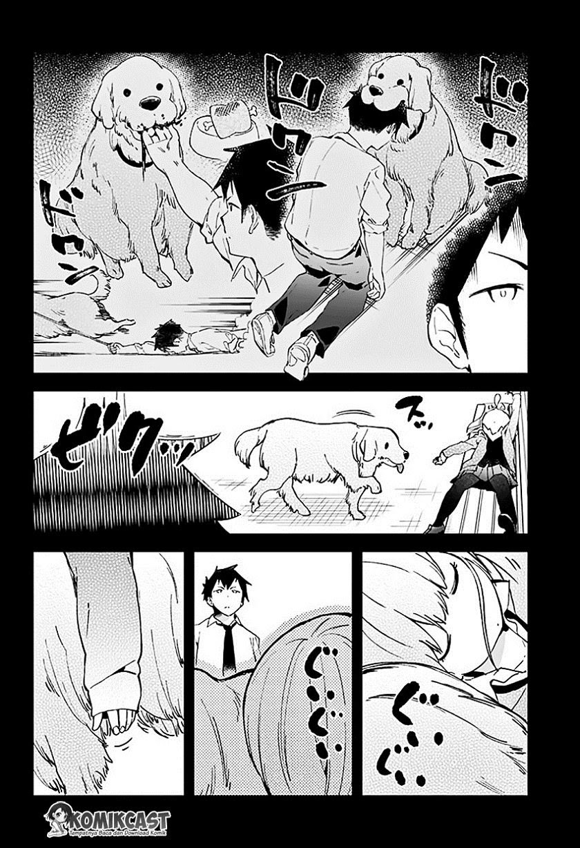 Panel 11